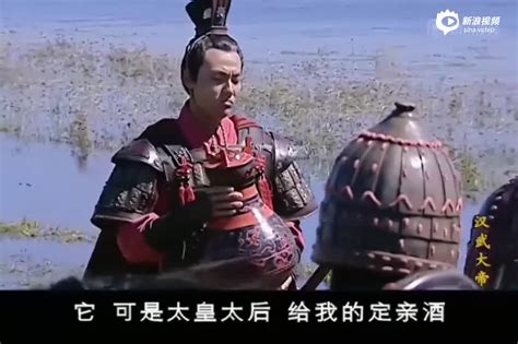 电视剧《汉武大帝》霍去病片段：酒泉得名、封狼居胥手机新浪网