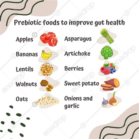 Prebiotic Foods To Improve Gut Health By Fernanda Cavaletti