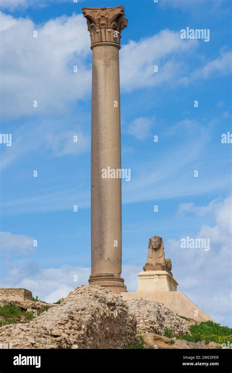 Sphinx And Giant Ancient Pompeys Pillar On Territory Of Serapeum Of