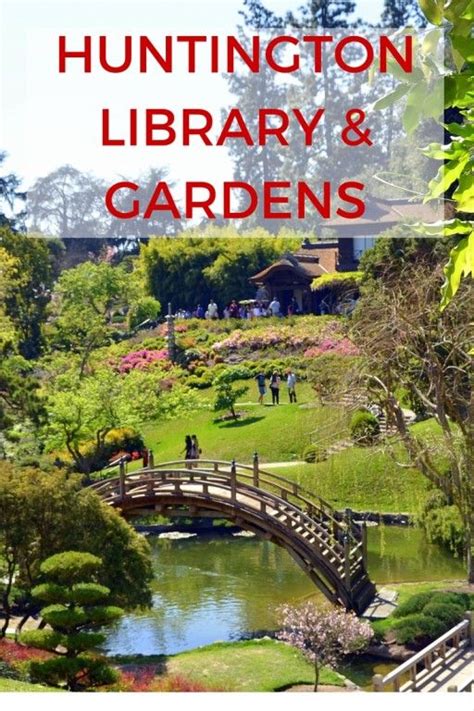 An Afternoon Stroll At The Huntington Library Art Collections And