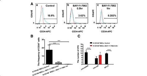 Effects Of Blocked Cd106 Bm Mscs By A Nf κb Specific Inhibitor On Download Scientific Diagram