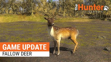 Thehunter Classic Game Update Steam News