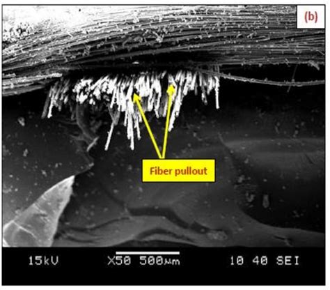 A Sem Image Of Tensile Fractured Surface Of Hybrid Gjgj Epoxy