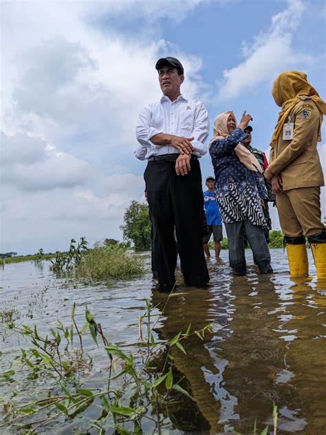 Kunjungi Korban Banjir Demak Mentan Berikan Bantuan Benih 10 000 Ha