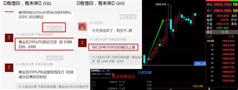 金日策略：黄金入反弹，今日交易思路？中金在线财经号