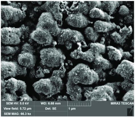 SEM Micrograph Of Tungsten Sample Surface Irradiated With Plasma In The