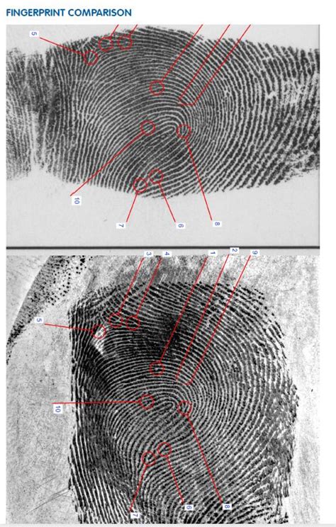 ForenteQ ForenteQ Offer A Range Of Fingerprint Comparison System For