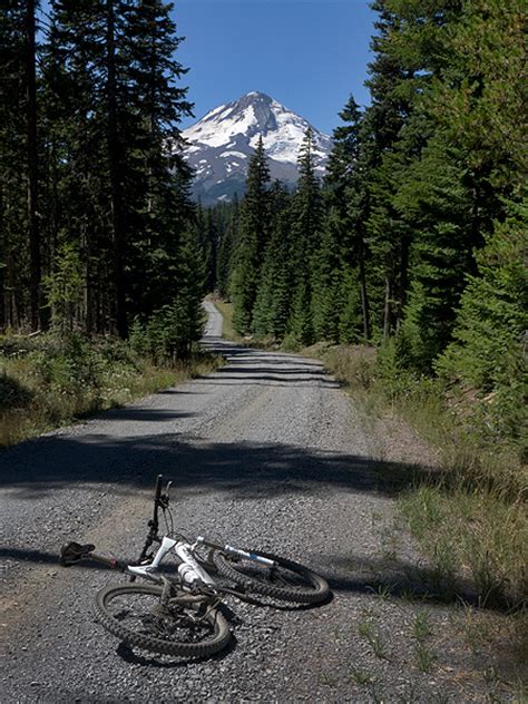 Mountain Biking in the Mt. Hood National Forest