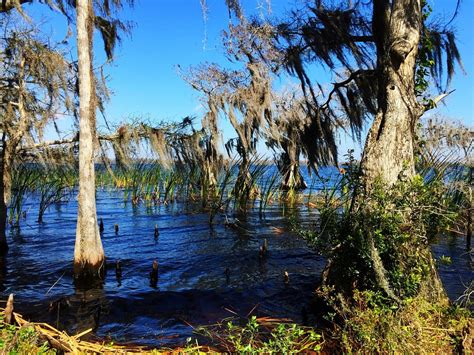 THE 15 BEST Things to Do in Kissimmee (2025) - Must-See Attractions