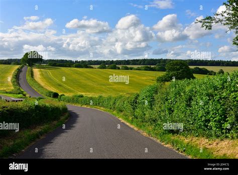 british narrow country lane  hedgerows  countryside