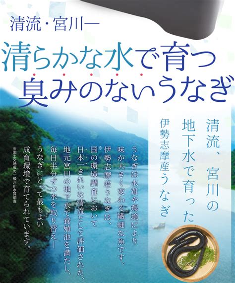 【楽天市場】うなぎ 伊勢志摩産 たれ 特大サイズ 2尾 たれ付 送料無料 国産 ウナギ 鰻 蒲焼き 丑の日 個包装 冷凍 化粧箱入 お中元