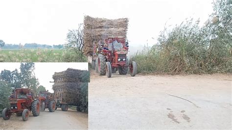 2 Belarus Tractor Pulling Fully Loaded Trolley 2021 Belarus Fail