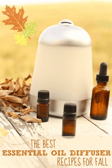 Best Aromatherapy Diffuser Recipes Dandk Organizer