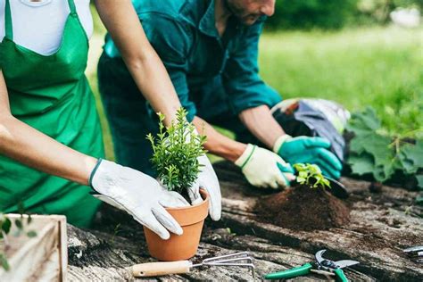 Educación y formación sobre plantas y jardinería