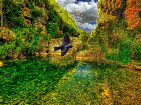 River Bird Landscape - Free photo on Pixabay - Pixabay