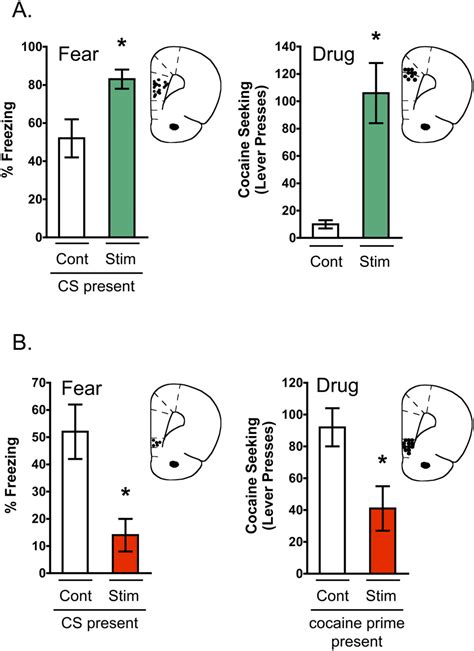 Extinction Circuits For Fear And Addiction Overlap In Prefrontal Cortex