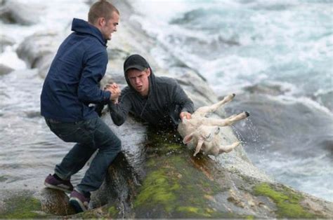 Amazing People Risked Their Lives Saving Animals | DeviceDaily.com