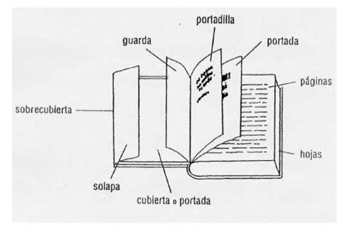 Las Partes Del Libro Partes Del Libro Tipos De Texto Libros Para Ni Os