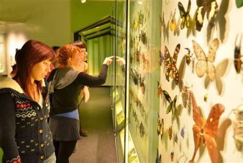 Visiteurs A Linsectarium De Montréal Credit Insectarium De Montréal