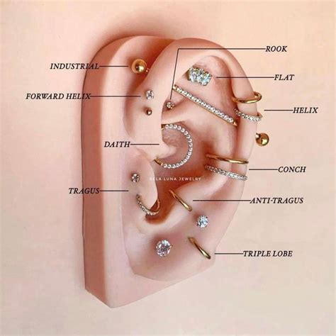 Pin By Teresa Thompson On Hair Do S In 2024 Earings Piercings Full