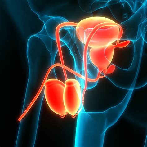 Varicocele North Star Vascular Interventional