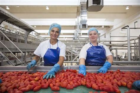 Lavoro Facile Stabilimento Del Settore Alimentare Cerca Operai Di