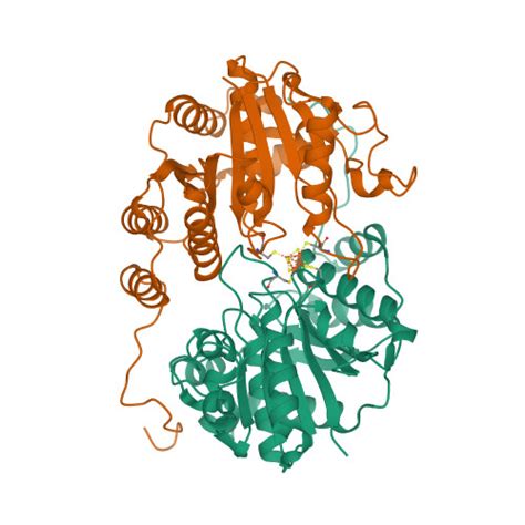 RCSB PDB 1G5P NITROGENASE IRON PROTEIN FROM AZOTOBACTER VINELANDII