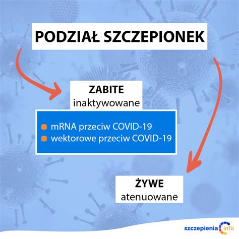 Do której grupy należą szczepionki przeciw COVID 19 żywych czy