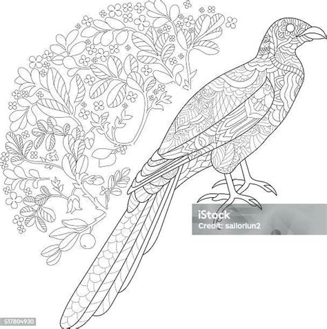 鳥 お絵かきのベクターアート素材や画像を多数ご用意 お絵かき アフリカ イラストレーション Istock