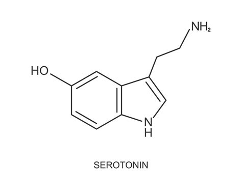 Serotonin Molecule Structure