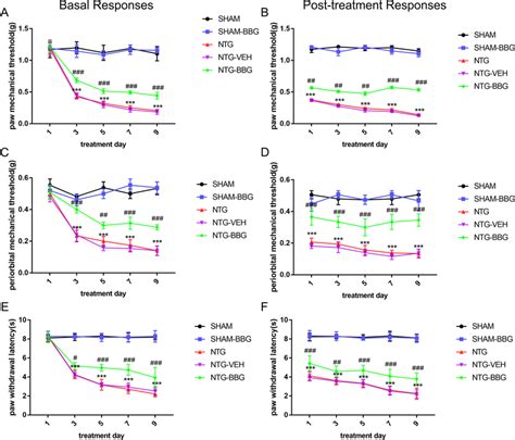 Inhibition Of P X R Ameliorated Ntg Induced Cm Associated Pain Chronic