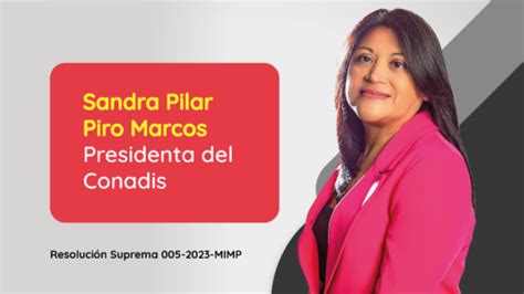 Designan A Sandra Pilar Piro Marcos Como Presidenta Del Conadis