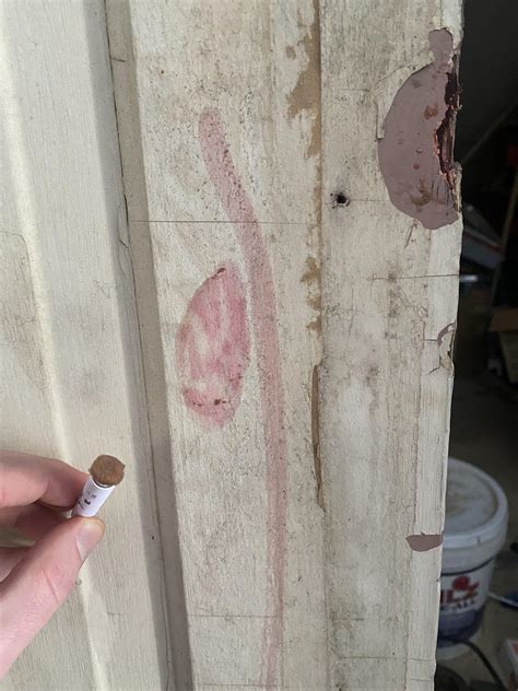 Restoring old wood door - potential lead. Worth continuing or
