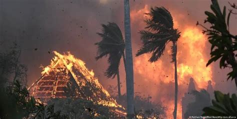 Balance de muertos por los incendios de Hawái sube a 53 800Noticias