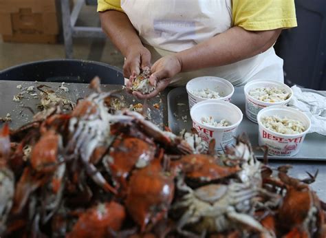 Where Are Your Crabs From? FDA Warns About 4 State Vibrio Bacteria Outbreak