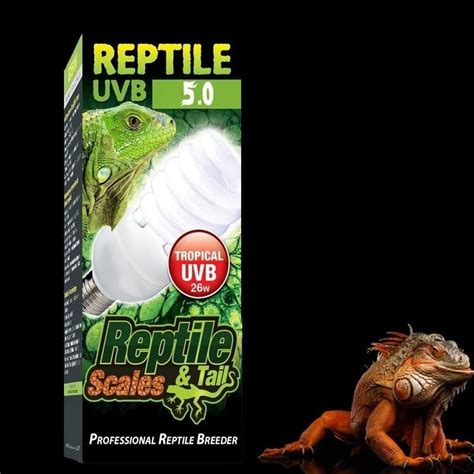 L Mpada Reptile Uvb E Uva Para R Pteis Ideal Para Iguanas