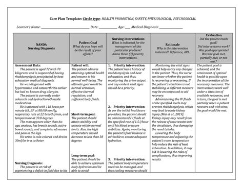 389721725 Care Plan Template 9 19 1 1 4 1 Care Plan Template Circle Type Health Promotion