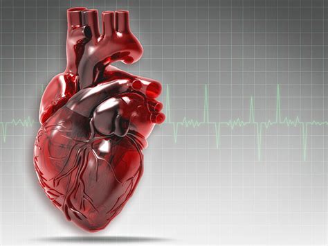 Comment Se D Roule La Vie Apr S Un Infarctus Du Myocarde Qui Entra Ne