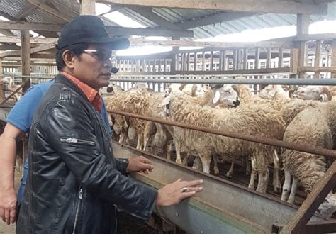 Dorong Ekspor Kementerian Pertanian Resmikan Pusat Pelatihan Kambing