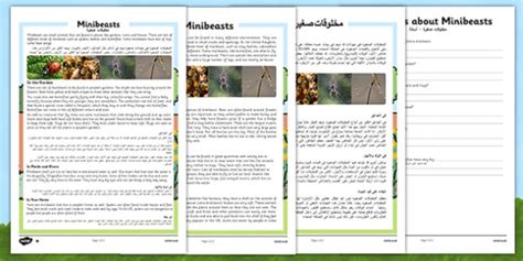 Minibeasts Differentiated Reading Comprehension Activity Arabic Translation