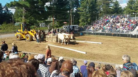 Deerfield Nh Fair 2024 - Lyda Siusan