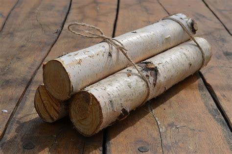 White Birch Logs White Birch Logs Rustic Craft Supply Etsy