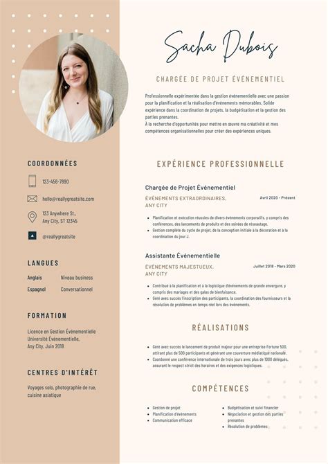 Professional Cv Resume Template For Seoclerks