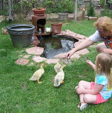 Duck Pond With Large Plastic Planter Filter Backyard Ducks Backyard