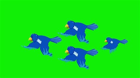 Bird Animation Stock Video Footage for Free Download