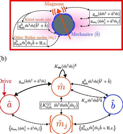 A Schematic Representation Of The Cavity Magnomechanical System A