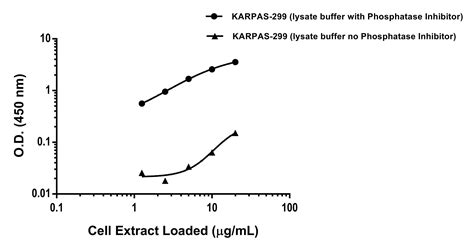 人ALK phospho Y1507 抗体Pair BSA and Azide free Abcam中文官网