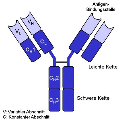 Immunologie Karteikarten Quizlet