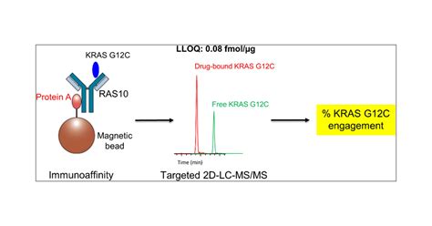 Assessment Of Kras G12c Target Engagement By A Covalent Inhibitor In