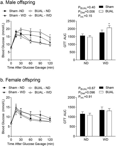 Glucose Tolerance Tests Gtt In Adult A Male And B Female Download Scientific Diagram